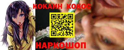 СК Новодвинск