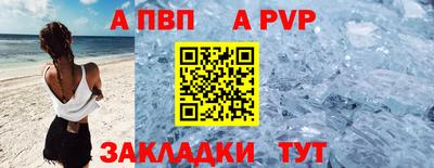 СК Новодвинск