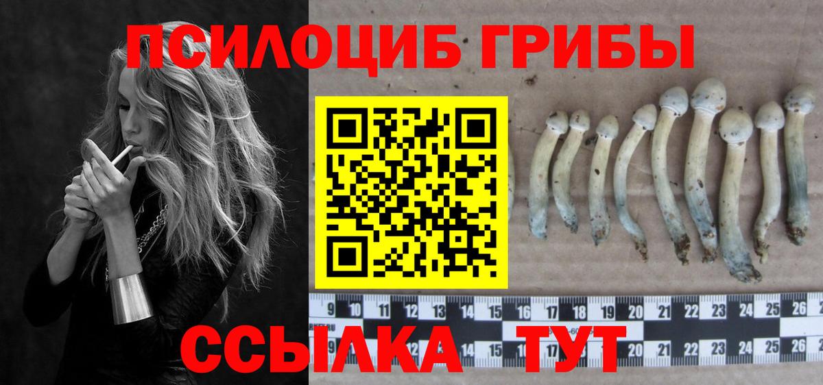 Псилоцибиновые грибы GOLDEN TEACHER  Вход с VPN  Славгород 